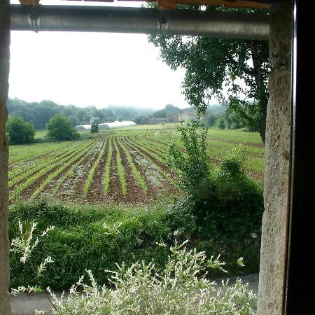 Maison Bons *