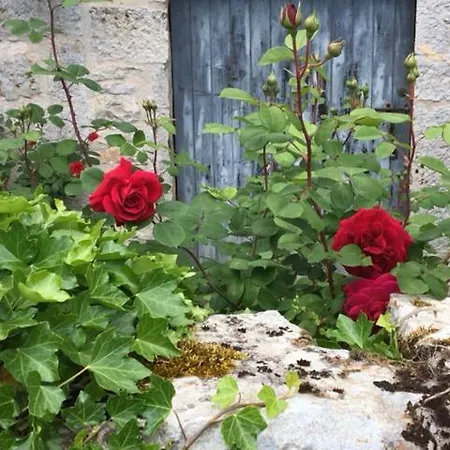 Villa Maison Bons Calvignac